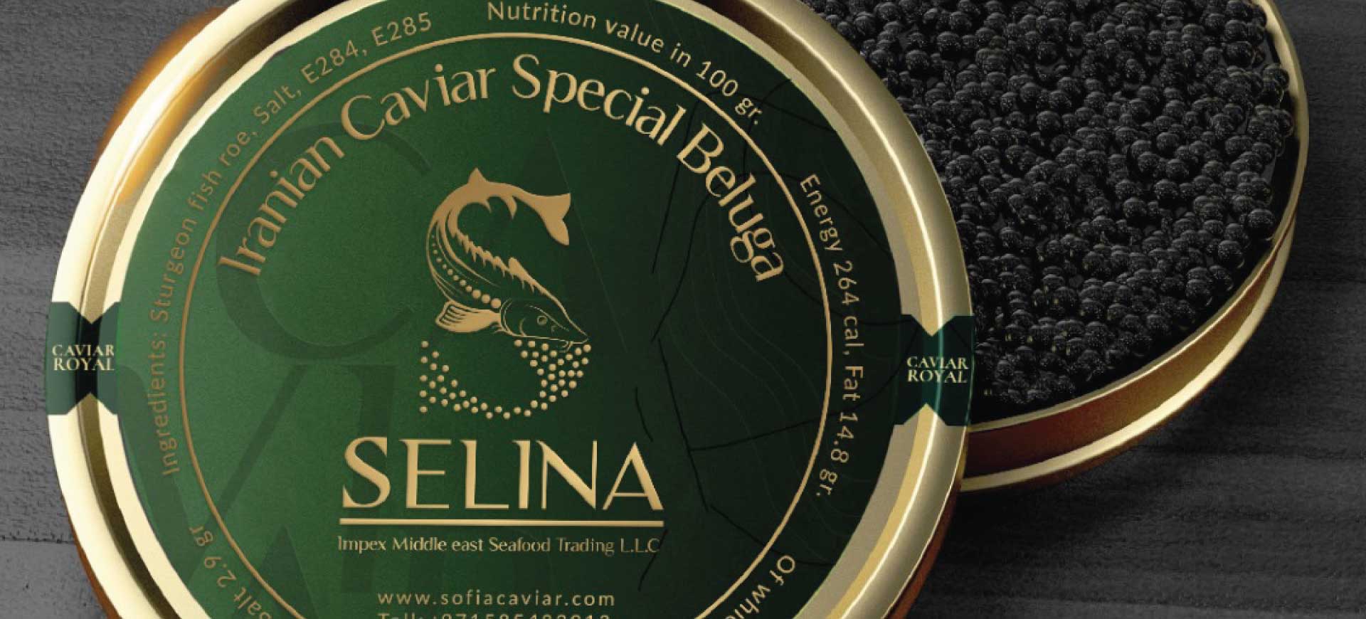selina-services-page